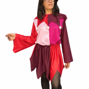 Costume de fou de cour